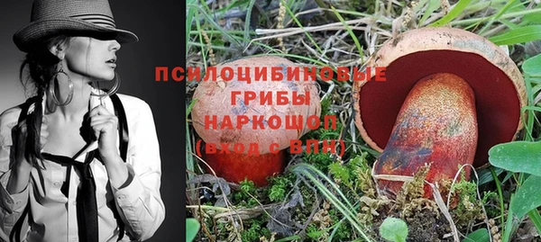 бошки Баксан