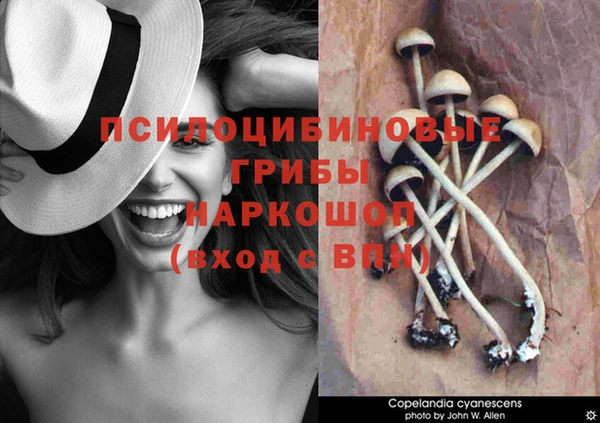 бошки Баксан