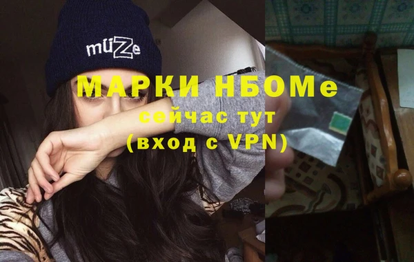 прущие грибы Переславль-Залесский
